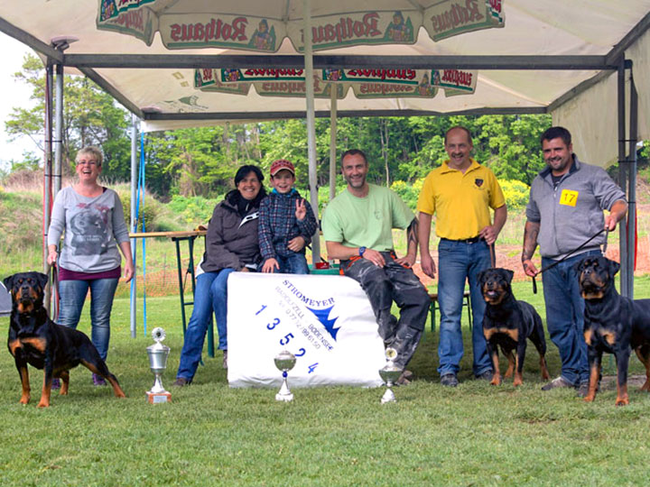 Mietplanen für Ausstellungspavillon